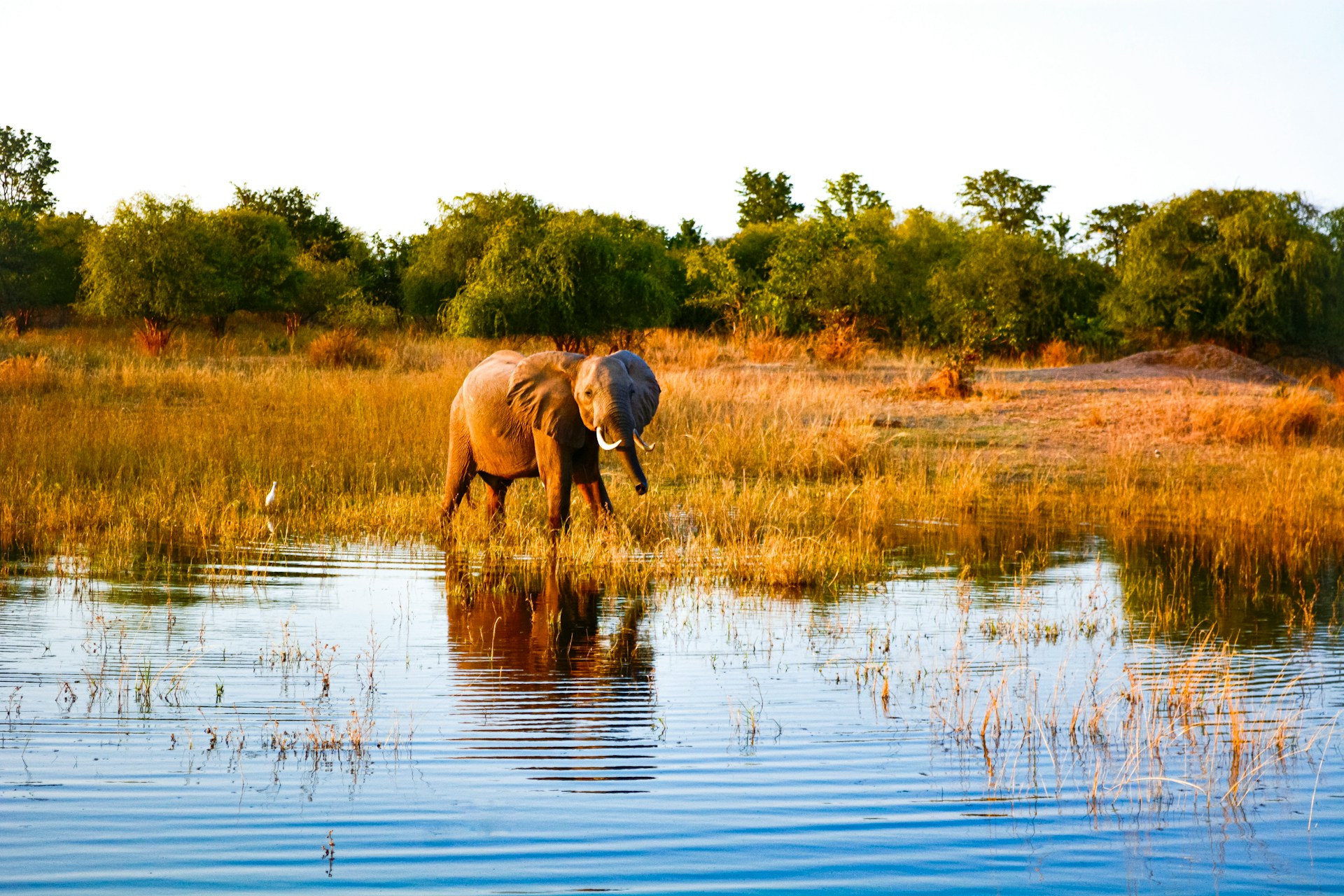 Chutes Victoria Zimbabwe